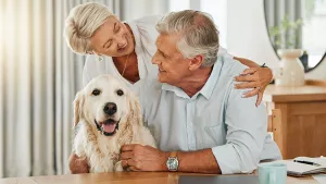 Ilustrační obrázek