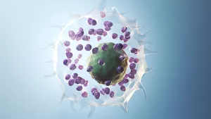 Ilustrační obrázek