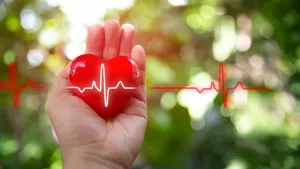 Ilustrační obrázek