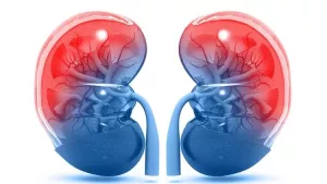 Ilustrační obrázek