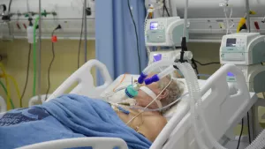 Ilustrační obrázek