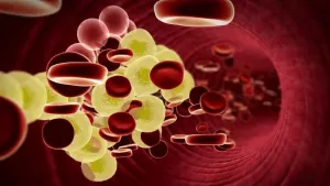 Ilustrační obrázek