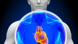 Ilustrační obrázek