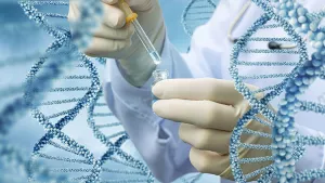 Ilustrační obrázek