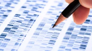 Ilustrační obrázek