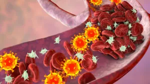 Ilustrační obrázek