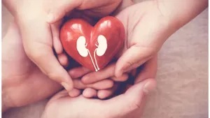 Ilustrační obrázek