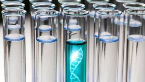 Ilustrační obrázek