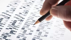 Ilustrační obrázek