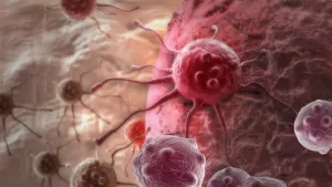 Ilustrační obrázek