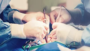 Ilustrační obrázek