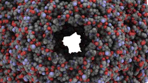 Ilustrační obrázek