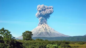 Ilustrační obrázek