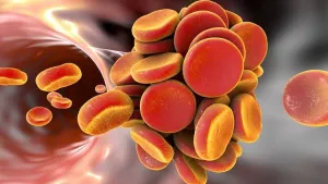 Ilustrační obrázek