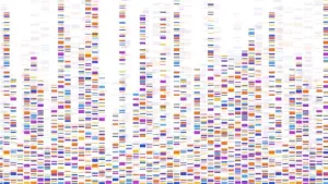 Ilustrační obrázek