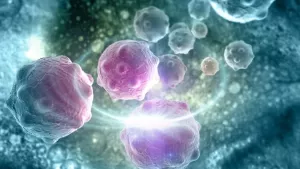 Ilustrační obrázek