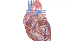 Ilustrační obrázek