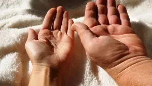 Ilustrační obrázek