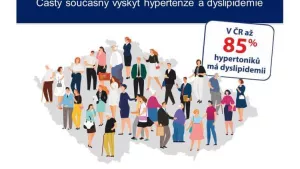 Ilustrační obrázek