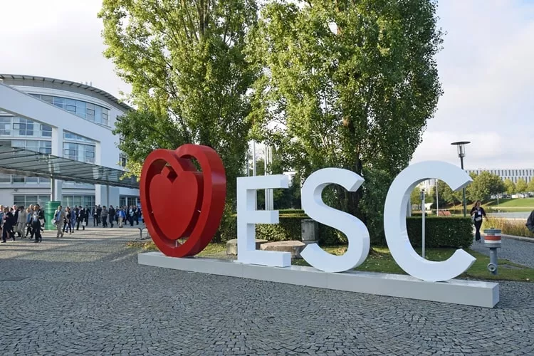 Ilustrační obrázek