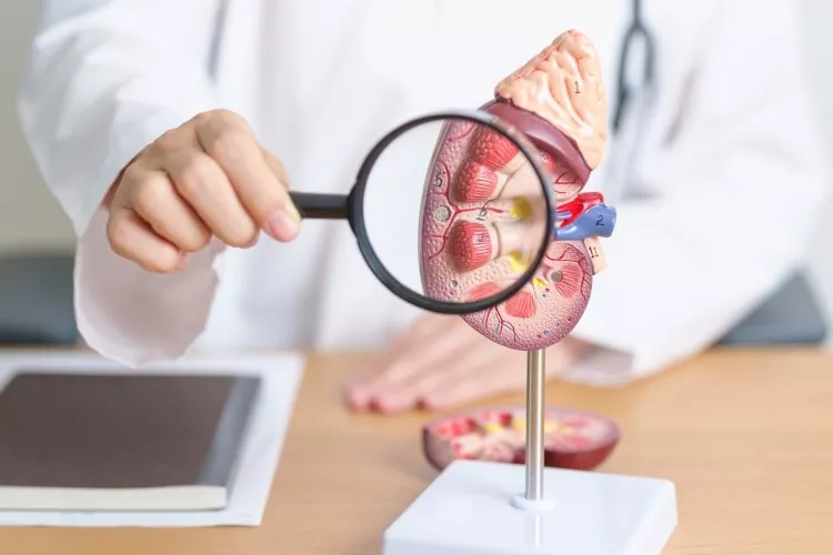 Ilustrační obrázek