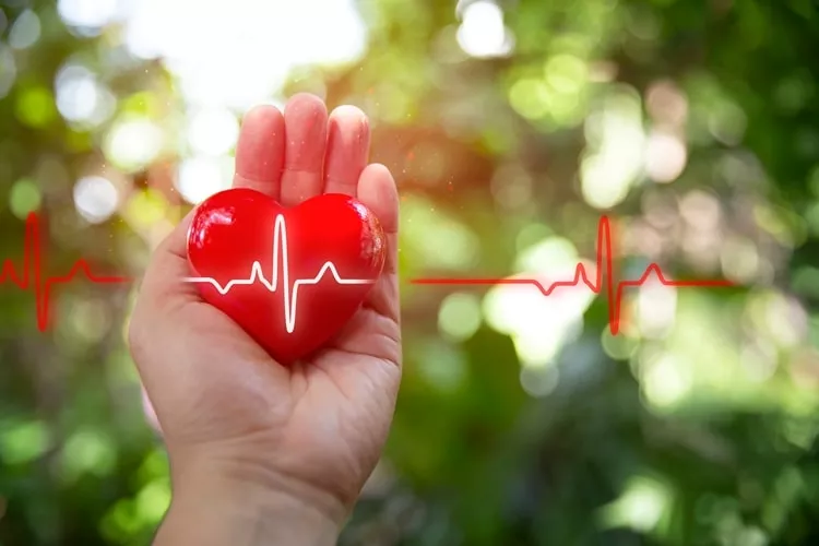 Ilustrační obrázek