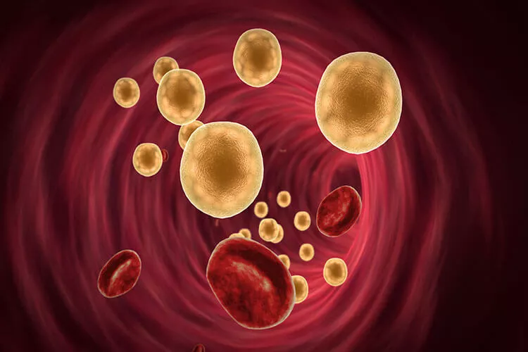 Ilustrační obrázek