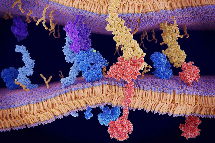 Zdroj: Shutterstock Ilustrační obrázek