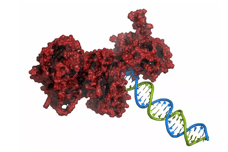 Zdroj: Shutterstock Ilustrační obrázek