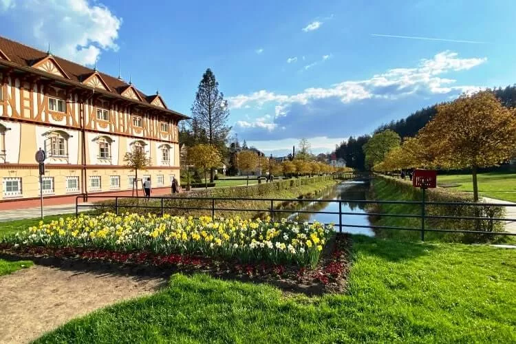 Ilustrační obrázek