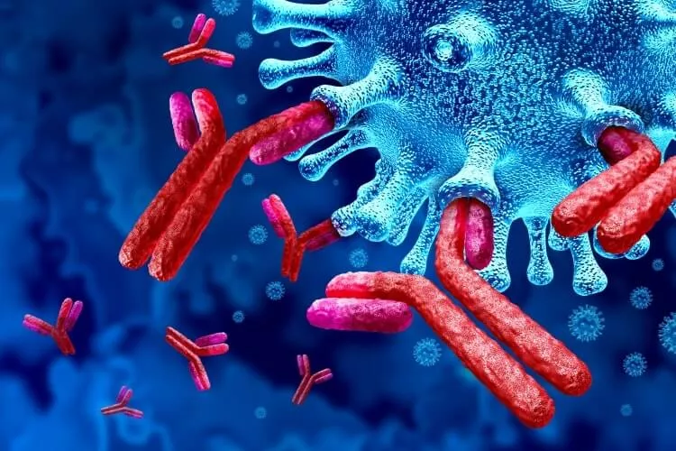 Ilustrační obrázek