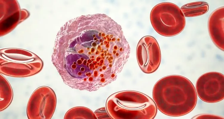 Ilustrační obrázek