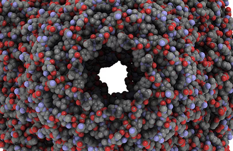 Ilustrační obrázek