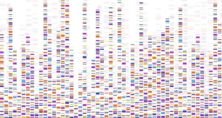 Ilustrační obrázek