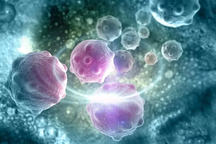 Zdroj: Shutterstock Ilustrační obrázek