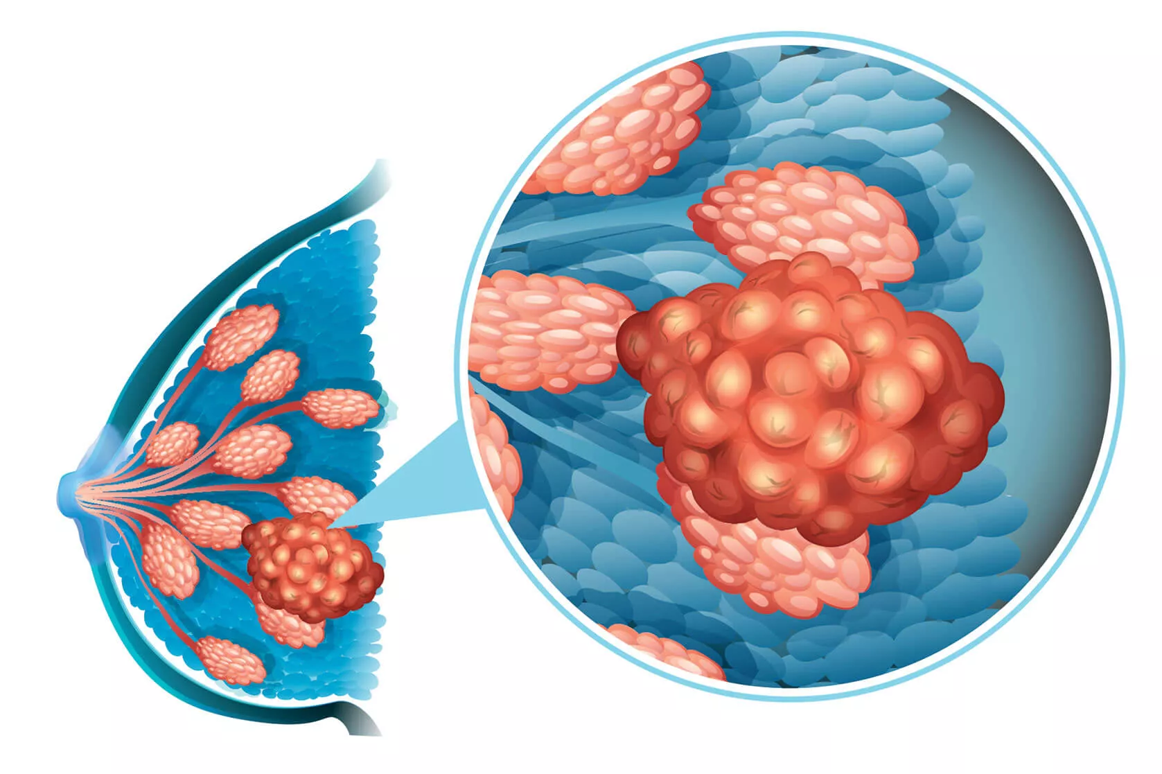 Zdroj: Shutterstock Ilustrační obrázek